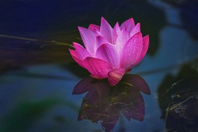 红衣双珠合
