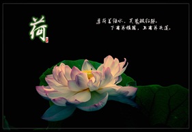 荷