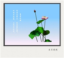 荷之韵