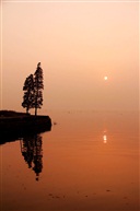 夕阳