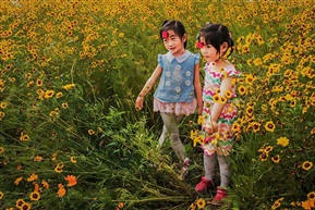 七彩夏日