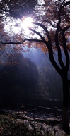 亭林后山