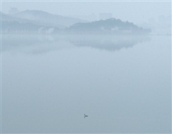 平湖朝雾水色新