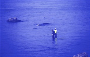 海钓