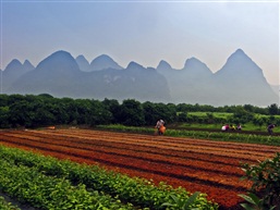 阳朔岩塘村田园风光