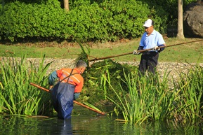 清理河道