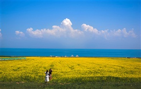 碧湖荡漾菜花黄