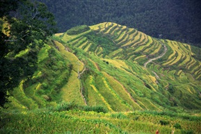 小佐梯田