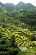 小佐梯田—景宁畬族