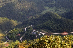 山路弯弯