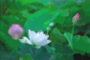 弄荷之七