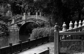 风景这边独好——亭林