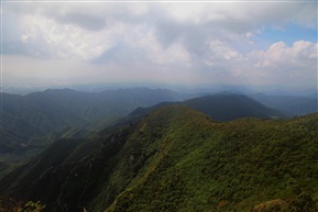 太甲山上