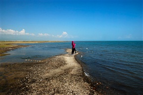 青海湖畔