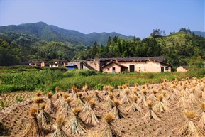 小山村之秋