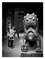 《禅》