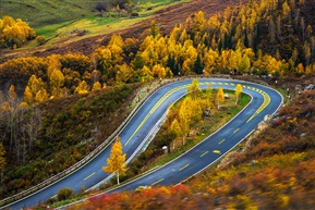 路边风景