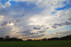 风筝飞舞的天空