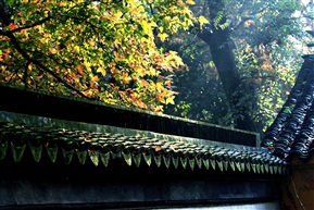 天平山“枫”景