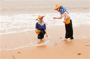 霞浦风情