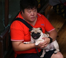 摄影也可幽默