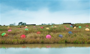 绿菌伞花