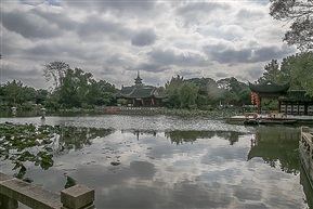 风起云涌大观园