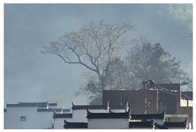 建设者