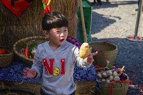 土豆