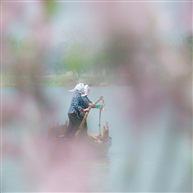彼岸春