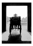 运坯