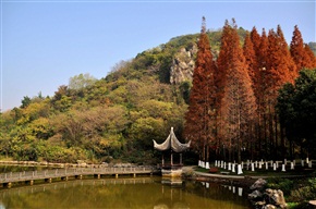 西山秋景