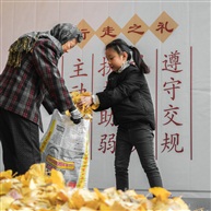 《拾秋》