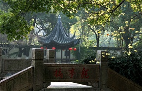 亭林龙盘桥