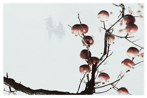 虚与实