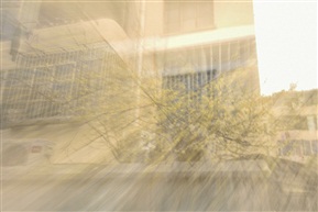 梅花雨