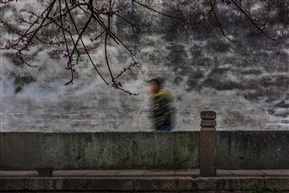 古镇春早