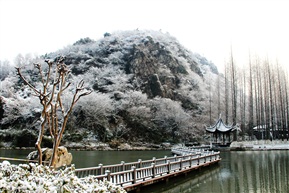 亭林雪景