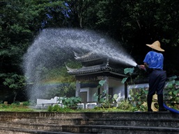 喜降甘霖（组2）