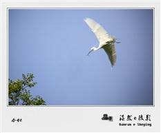 春忙