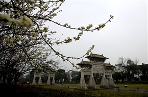 天下第一街