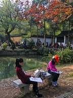 天平山枫叶（六）