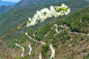 路漫漫