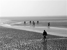 《 出   海 》