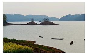 通济湖之晨