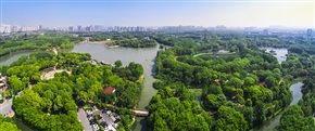 城市中的绿州
