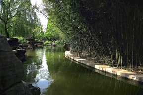 风景