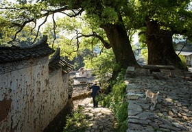 山村小景