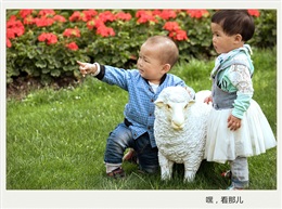 嘿，看那儿