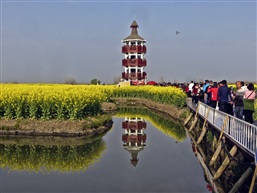 千垛油菜花-21